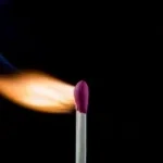 one match can burn 1000000 trees