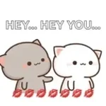 Recording 03/10/26 17:29:51