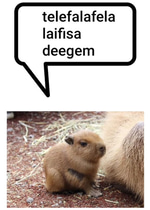 augh meme sound