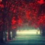 German Anthem (copy)