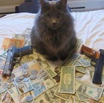 Scooby Doo Laugh (Rehehehe) Sound Effect