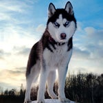 Sonido De Un Hospital