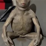 دقن دشم دق دق دش📞 - Sound