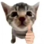 a concorrencia que me desculpe