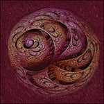 Stay Focused Brothers