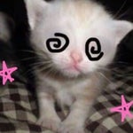 Roblox Huh Sound Effect