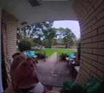 among us {ORIGINAL SOUND}