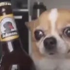 tiktoker lecken meine eier