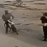 Bike-nado: The Epic Tale of the Two-Wheeled Turmoil