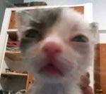 nossa nossa assim voce me mata