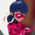 ladybug