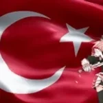 Dostluk Halayi /turk (copy)