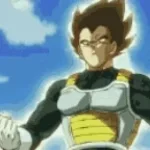 low quality vegeta