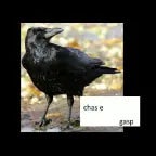 crow [BIAST OST] crow's old chase theme