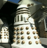 dalek stay