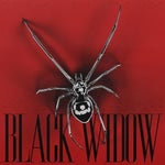 Alok – BLACK WIDOW