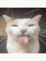 android notification