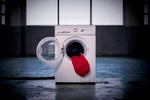 Welcome to the secret society of the washing machine