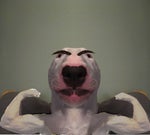 Walter White Thank you