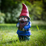 Gnomes Hunting Music