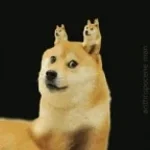 idk what is happening
