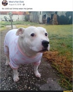 Invincible Season One Title Card Super Cut