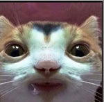 What Aliens REALLY Sound Like! 1