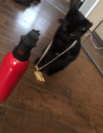 Wunderwaffe DG-2 | Reload - Clip in