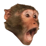 Gorilla Tag Warning sound