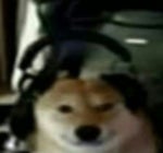 Assumptions by Sam Gellaitry