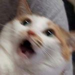 Yes