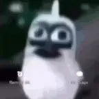 Bird screaming meme