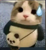 Bebe Llorando xD