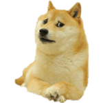 Doge