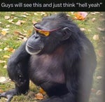 55 BURGERS 55 FRIES (just the order)