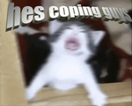 accelerate