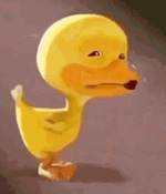 Where'd You Go