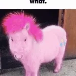 LITTLE WHITEE PONY (copy)