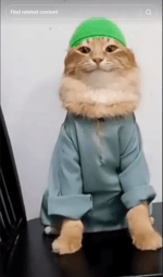 Wallu Du Dan Danali Tob Tabi Tab Tabi Tab