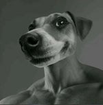 Песня НУБИК РУБИК Я В МАЙНКРАФТЕ НУБИК КУПИК РУБИК - Sound