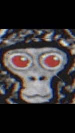 PBBV IS WATCHING - Sound