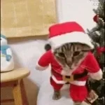 LAST CHRISTMAS FUNK (Slowed)