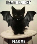 Empire Carpet Empire Today Commercial End Tag