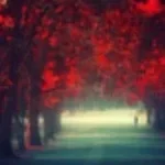 German Anthem (copy)