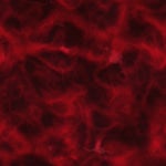 Spongebob Squarepants caseoh