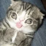 Funniest FlyGuyCarter mic