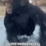 Happy_Noises