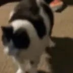 90210 by Travis Scott (copy)