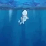 mamagüevo digo glu glu glu (letra)