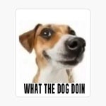 Jimmyhere Low Quality Genshin Impact Ad SFX Sound Effect Funny - Sound